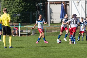 Bild 49 - wBJ VfL Pinneberg - Hamburger SV 2 : Ergebnis: 1:3